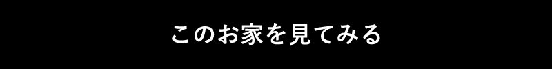 説明