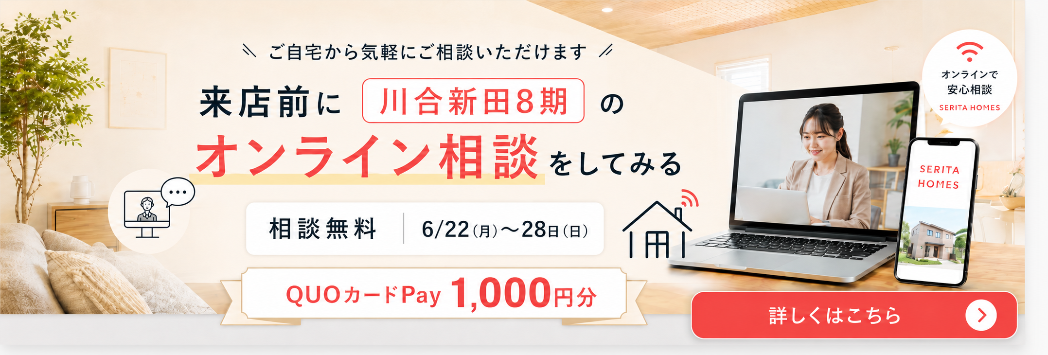 説明
