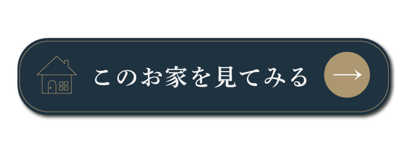説明