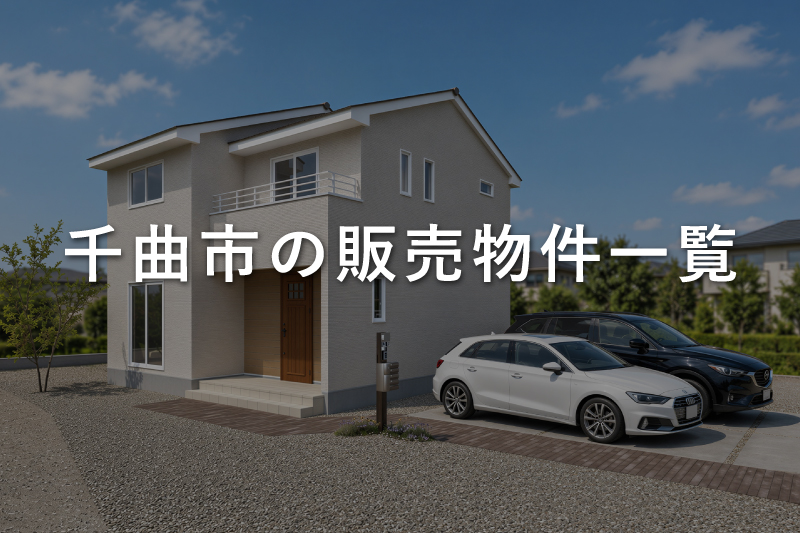 説明