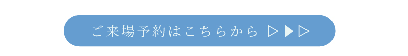 説明